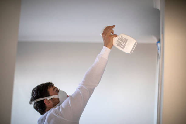 Best Attic Mold Remediation in Akron, NY