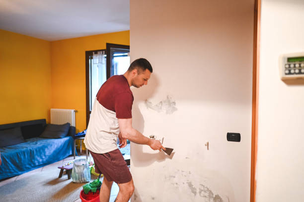 Best Basement Mold Remediation in Akron, NY